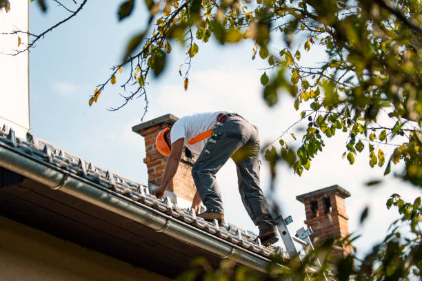 Quick and Trustworthy Emergency Roof Repair Services in Ben Avon, SC